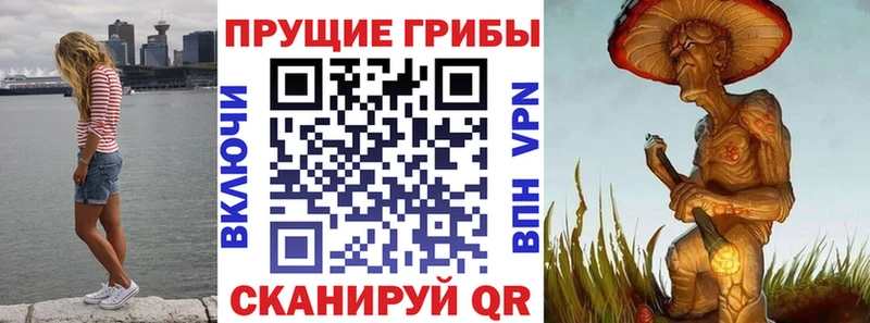 Псилоцибиновые грибы Magic Shrooms  Удомля 